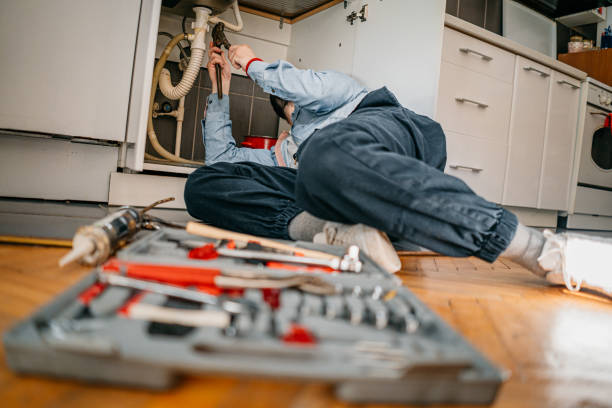 Best Affordable Plumber Near Me  in Petersburg, IN